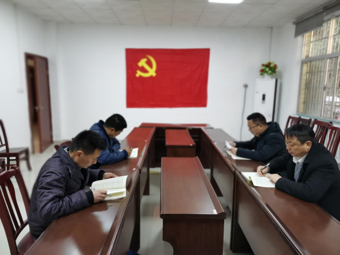 湖南鸟儿巢水电站发电有限乐鱼入口,乐鱼leyu(中国)
党支部正式成立