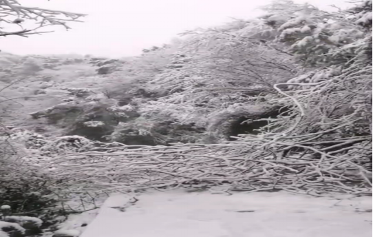 战暴雪、保供电！乐鱼入口,乐鱼leyu(中国)鸟儿巢乐鱼入口,乐鱼leyu(中国)
应对极端天气紧急抢修失电故障