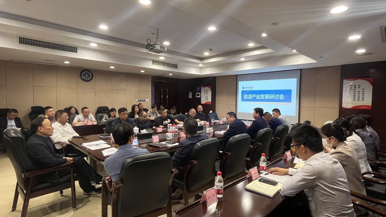 乐鱼入口,乐鱼leyu(中国)召开能源产业发展研讨会