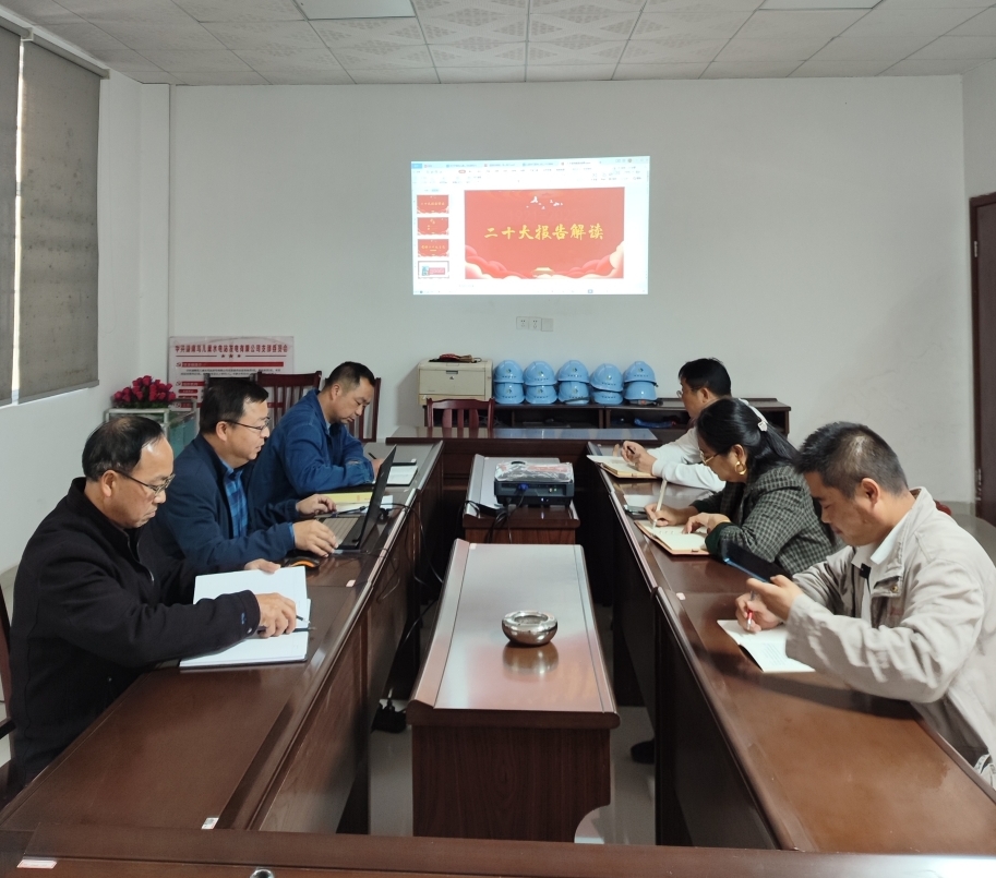 鸟儿巢乐鱼入口,乐鱼leyu(中国)
党支部开展“一课一片一实践”主题党日活动