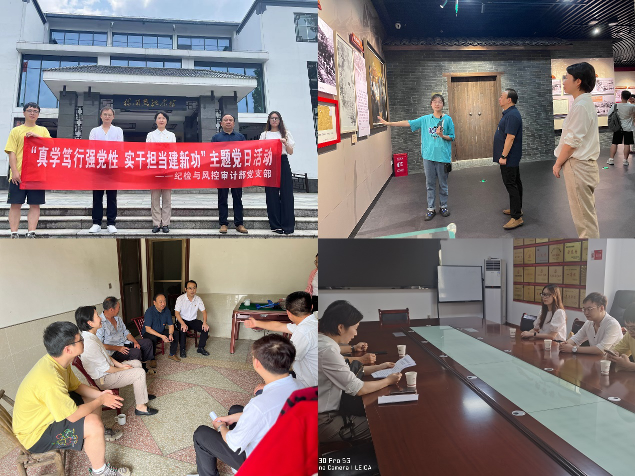 乐鱼入口,乐鱼leyu(中国)纪检与风控审计部党支部开展“真学笃行强党性 实干担当建新功”主题党日活动